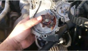 Honda Accord Water Pump Problems - Honda The Other Side