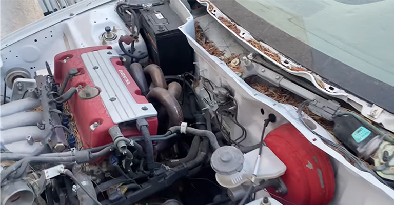 Honda K20Z1 Engine Overview